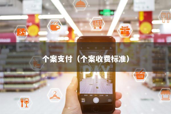 个案支付(个案收费标准)