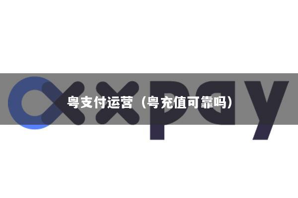 粤支付运营(粤充值可靠吗)