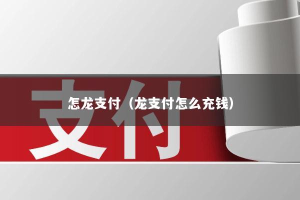 怎龙支付(龙支付怎么充钱)