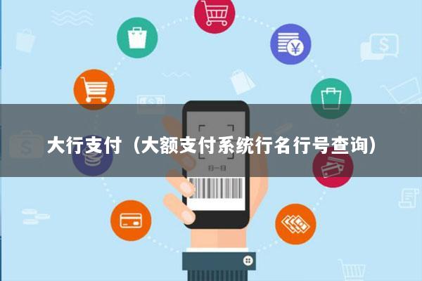 大行支付(大额支付系统行名行号查询)