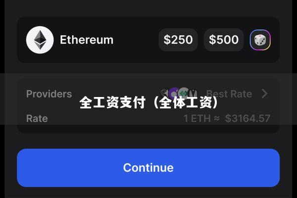 全工资支付(全体工资)