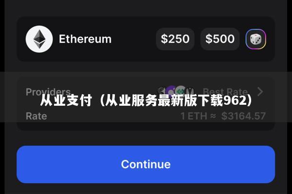 从业支付(从业服务最新版下载962)