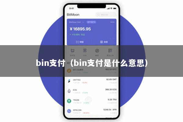 bin支付(bin支付是什么意思)