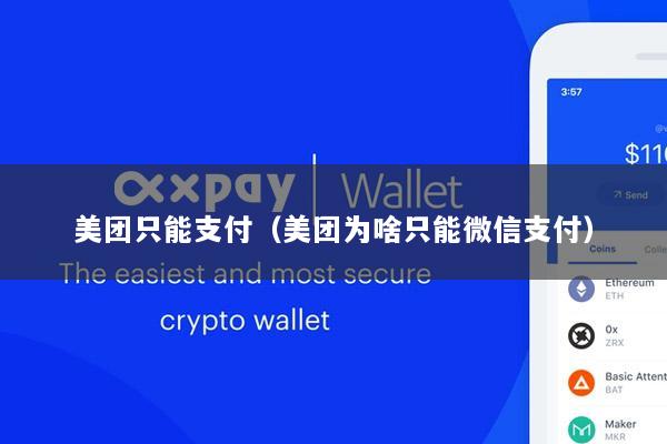 美团只能支付(美团为啥只能微信支付)