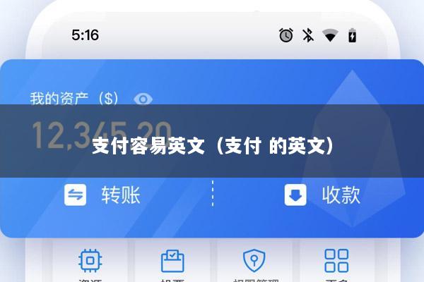 支付容易英文(支付 的英文)