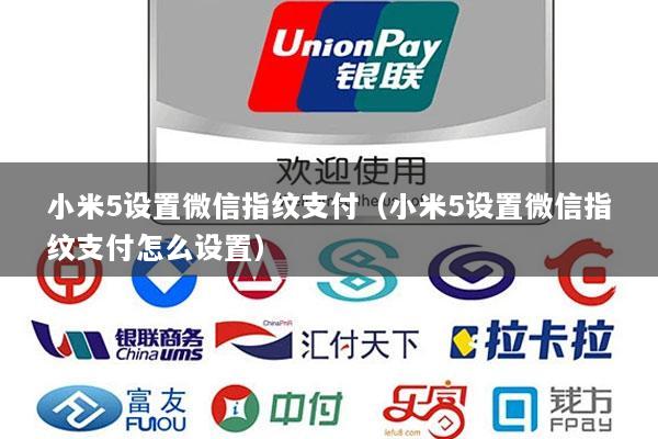 小米5设置微信指纹支付(小米5设置微信指纹支付怎么设置)