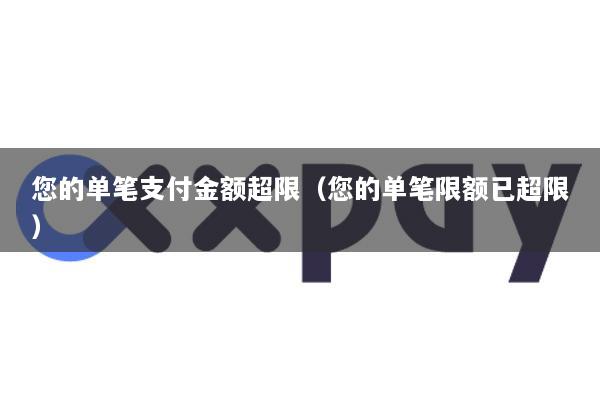 您的单笔支付金额超限(您的单笔限额已超限)