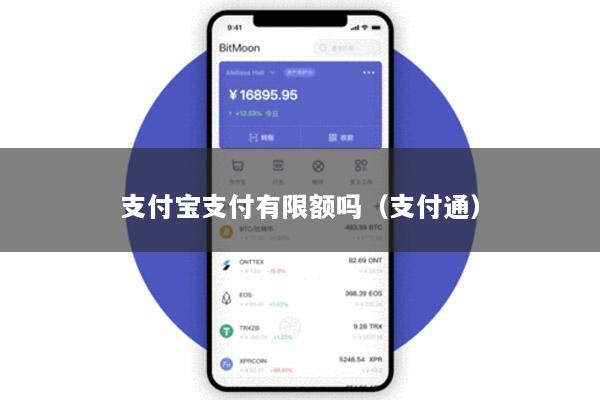 支付宝支付有限额吗(支付通)