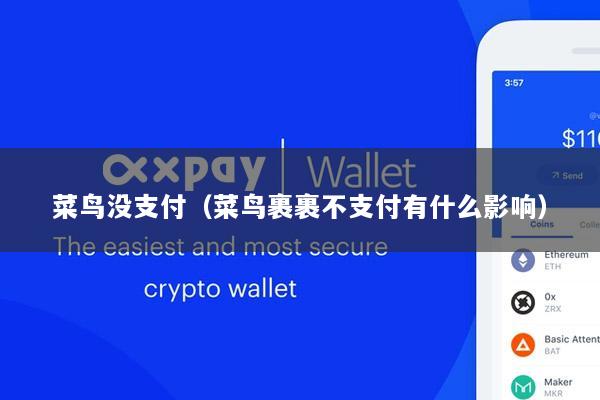 菜鸟没支付(菜鸟裹裹不支付有什么影响)