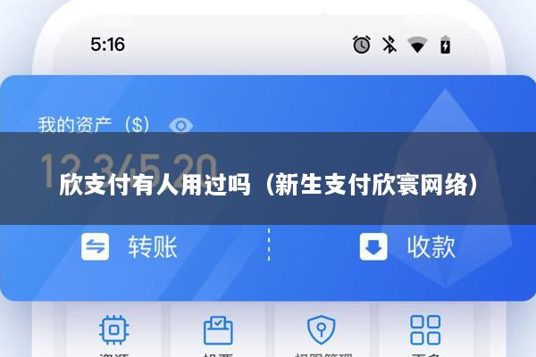 欣支付有人用过吗(新生支付欣寰网络)