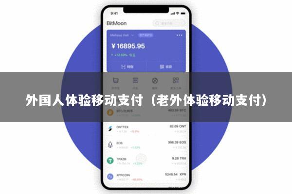 外国人体验移动支付(老外体验移动支付)